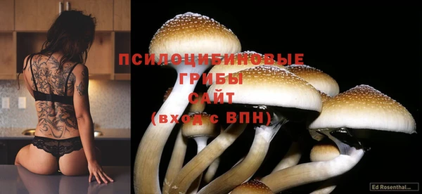 молекула духа Заволжье