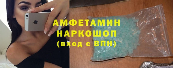 прущие грибы Ельня