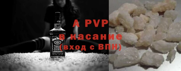 прущие грибы Ельня