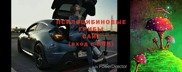 прущие грибы Ельня