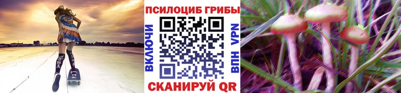 Псилоцибиновые грибы MAGIC MUSHROOMS  Буй 